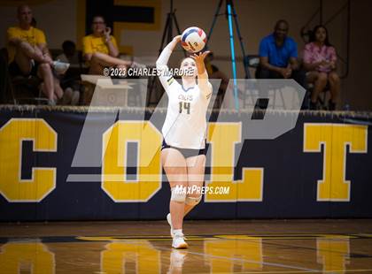 Thumbnail 1 in Jack Britt @ Cape Fear photogallery.
