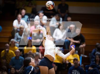 Thumbnail 1 in Jack Britt @ Cape Fear photogallery.