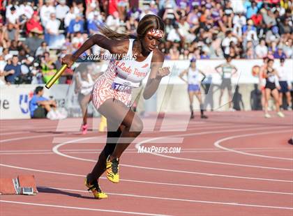 Thumbnail 2 in UIL 5A State Track Meet photogallery.