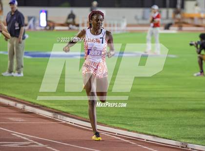 Thumbnail 3 in UIL 5A State Track Meet photogallery.