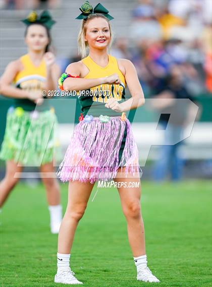 Thumbnail 3 in Oak Grove @ West Forsyth photogallery.
