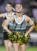 Photo from the gallery "Oak Grove @ West Forsyth"