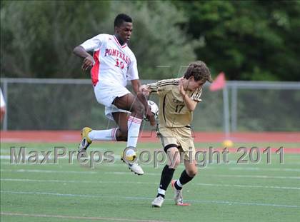 Thumbnail 1 in Barlow @ Pomperaug photogallery.