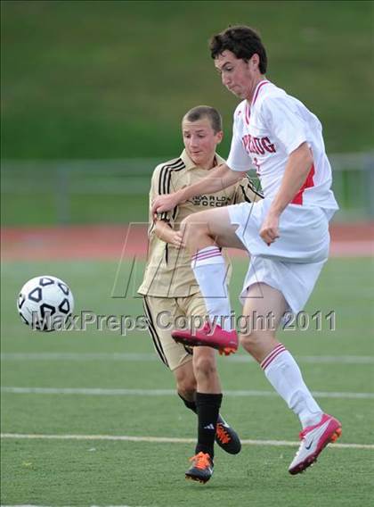 Thumbnail 1 in Barlow @ Pomperaug photogallery.