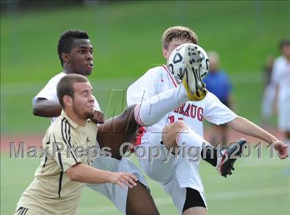 Thumbnail 1 in Barlow @ Pomperaug photogallery.