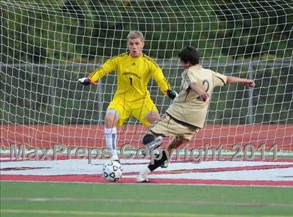 Thumbnail 1 in Barlow @ Pomperaug photogallery.