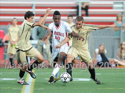 Thumbnail 1 in Barlow @ Pomperaug photogallery.