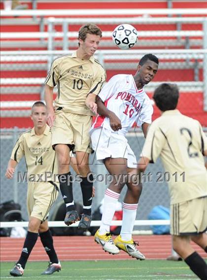 Thumbnail 1 in Barlow @ Pomperaug photogallery.