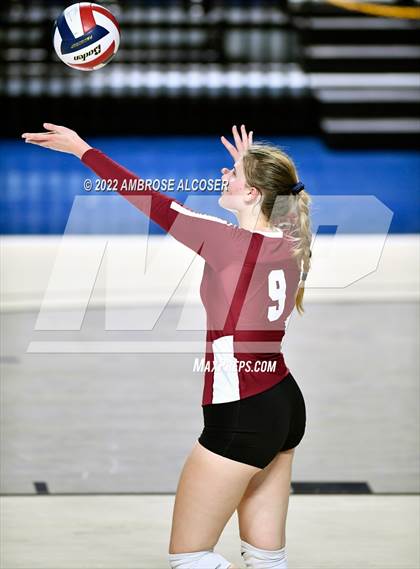 Thumbnail 3 in Cypress Creek vs. Heights (UIL Volleyball 6A Bi-District Playoff) photogallery.