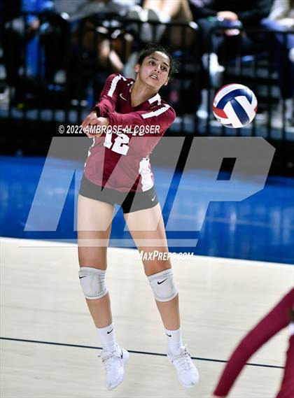Thumbnail 3 in Cypress Creek vs. Heights (UIL Volleyball 6A Bi-District Playoff) photogallery.