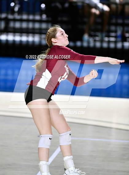 Thumbnail 3 in Cypress Creek vs. Heights (UIL Volleyball 6A Bi-District Playoff) photogallery.
