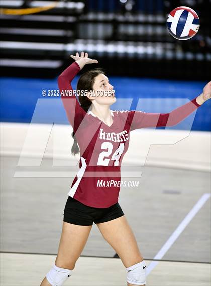 Thumbnail 1 in Cypress Creek vs. Heights (UIL Volleyball 6A Bi-District Playoff) photogallery.
