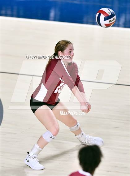 Thumbnail 1 in Cypress Creek vs. Heights (UIL Volleyball 6A Bi-District Playoff) photogallery.