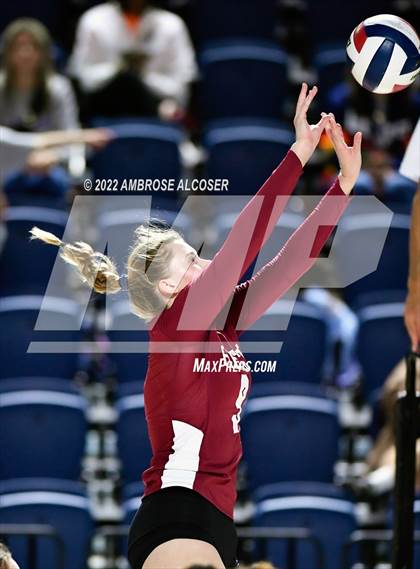 Thumbnail 2 in Cypress Creek vs. Heights (UIL Volleyball 6A Bi-District Playoff) photogallery.