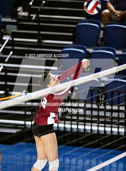 Thumbnail 1 in Cypress Creek vs. Heights (UIL Volleyball 6A Bi-District Playoff) photogallery.