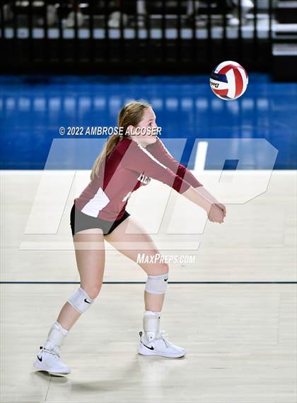 Thumbnail 2 in Cypress Creek vs. Heights (UIL Volleyball 6A Bi-District Playoff) photogallery.
