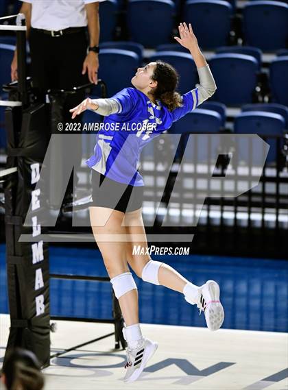 Thumbnail 1 in Cypress Creek vs. Heights (UIL Volleyball 6A Bi-District Playoff) photogallery.