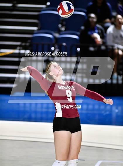 Thumbnail 1 in Cypress Creek vs. Heights (UIL Volleyball 6A Bi-District Playoff) photogallery.