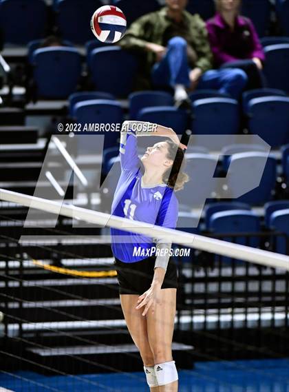 Thumbnail 2 in Cypress Creek vs. Heights (UIL Volleyball 6A Bi-District Playoff) photogallery.
