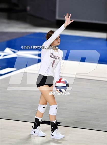 Thumbnail 1 in Cypress Creek vs. Heights (UIL Volleyball 6A Bi-District Playoff) photogallery.