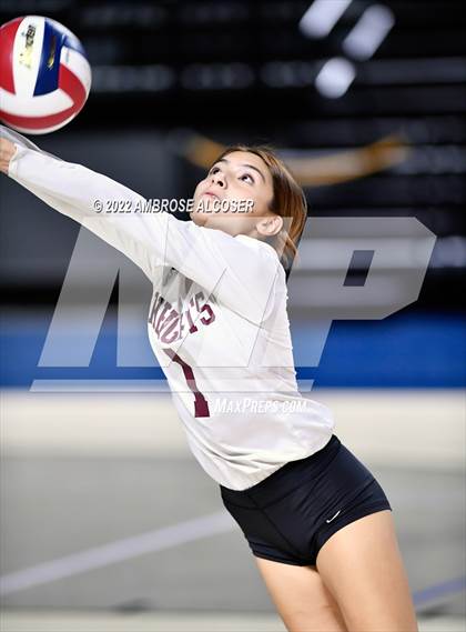 Thumbnail 2 in Cypress Creek vs. Heights (UIL Volleyball 6A Bi-District Playoff) photogallery.