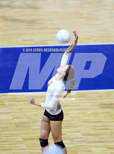 null - Photo 11