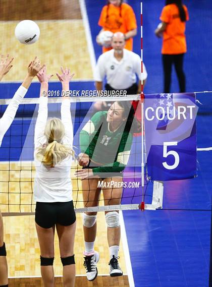 Thumbnail 1 in Fairview vs Mountain Vista (CHSAA 5A Playoff) photogallery.