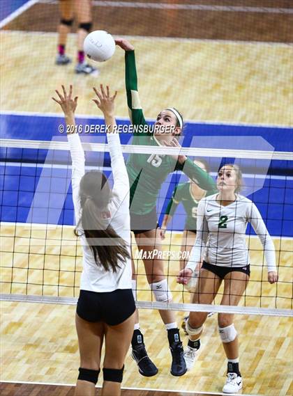 Thumbnail 1 in Fairview vs Mountain Vista (CHSAA 5A Playoff) photogallery.