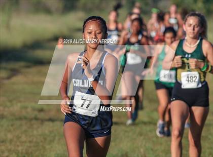 Thumbnail 1 in Weeki Wachee Invitational  photogallery.