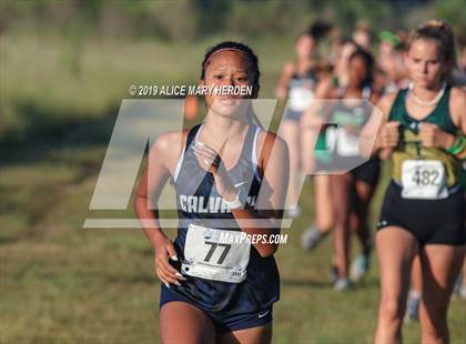 Thumbnail 2 in Weeki Wachee Invitational  photogallery.