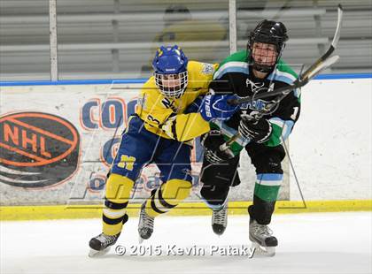 Thumbnail 3 in Fermi/Enfield/East Granby @ Newington/Berlin photogallery.