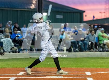 Thumbnail 1 in Brock @ Peaster photogallery.