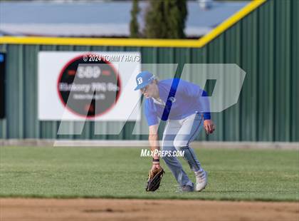 Thumbnail 1 in Brock @ Peaster photogallery.