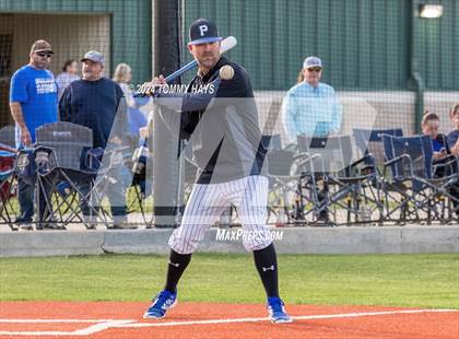 Thumbnail 1 in Brock @ Peaster photogallery.