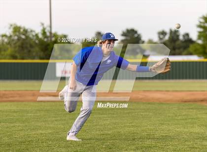 Thumbnail 1 in Brock @ Peaster photogallery.