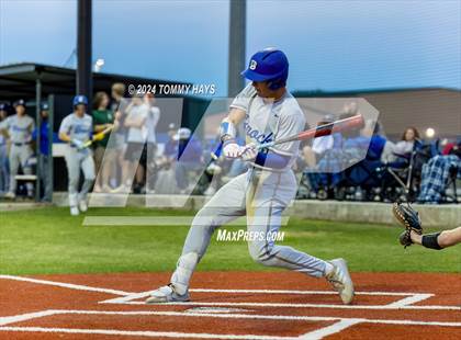 Thumbnail 1 in Brock @ Peaster photogallery.