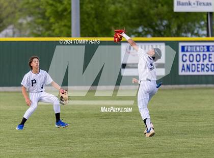 Thumbnail 1 in Brock @ Peaster photogallery.