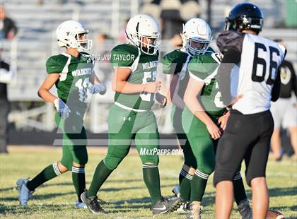 Thumbnail 1 in Archer City @ Santo photogallery.