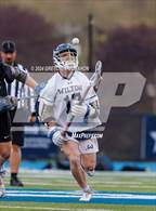 Photo from the gallery "Darien @ Wilton"