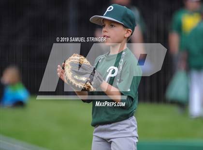 Thumbnail 2 in Ponderosa vs. Buhach Colony (CIF SJS D3 Final) photogallery.