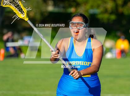 Thumbnail 3 in Nordhoff @ Cate photogallery.