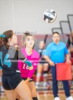 Photo from the gallery "Oceanside vs. Valley Center (CIF SDS D4 finals)"