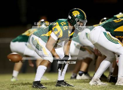 Thumbnail 3 in South Mountain @ Canyon del Oro photogallery.