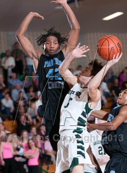 Thumbnail 3 in Panther Creek @ Green Hope photogallery.