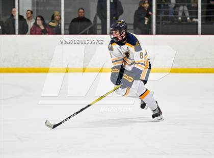 Thumbnail 3 in Batavia Notre Dame at Victor (NYSPHAA Section V Class A Semifinals) photogallery.