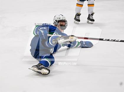 Thumbnail 1 in Batavia Notre Dame at Victor (NYSPHAA Section V Class A Semifinals) photogallery.