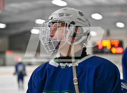 Thumbnail 1 in Batavia Notre Dame at Victor (NYSPHAA Section V Class A Semifinals) photogallery.