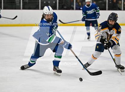 Thumbnail 2 in Batavia Notre Dame at Victor (NYSPHAA Section V Class A Semifinals) photogallery.