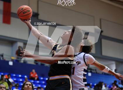 Thumbnail 3 in Brennan vs. Roosevelt photogallery.