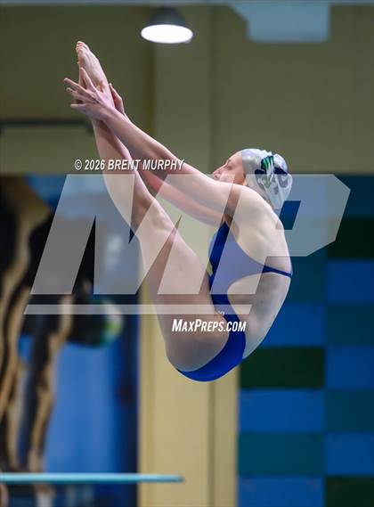 Thumbnail 1 in CHSAA 5A Finals (Diving) photogallery.